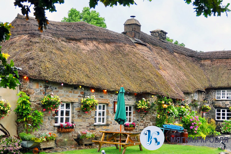 Кровля из травы Кровля из травы